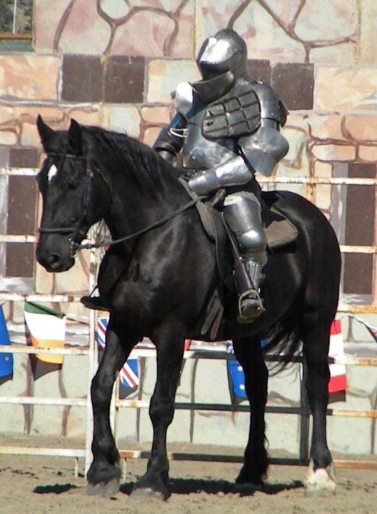 The Jousting Life Shane Adams Wins Overall Championship for “Estes